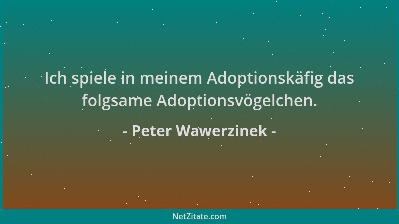 Peter Wawerzinek - Ich spiele in meinem Adoptionskäfig das folgsame Adoptionsvögelchen....