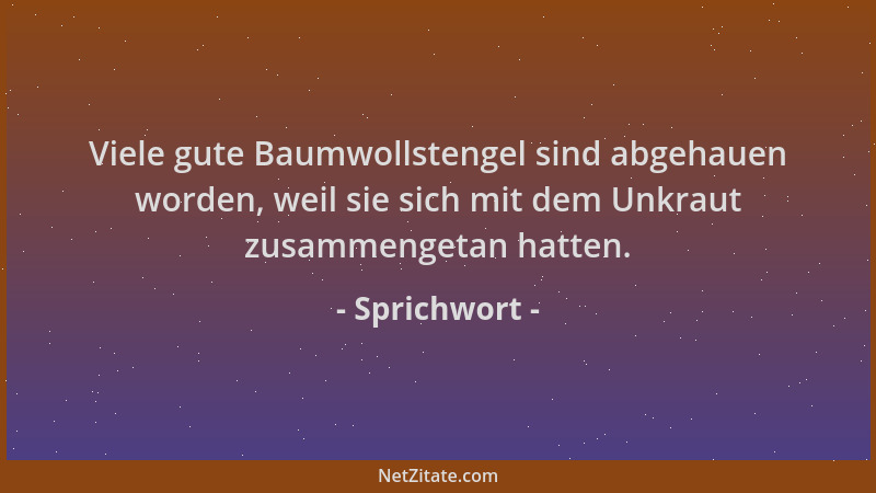 Sprichwort - Viele gute Baumwollstengel sind abgehauen worden, weil sie sich mit dem Unkraut zusammengetan hatten....