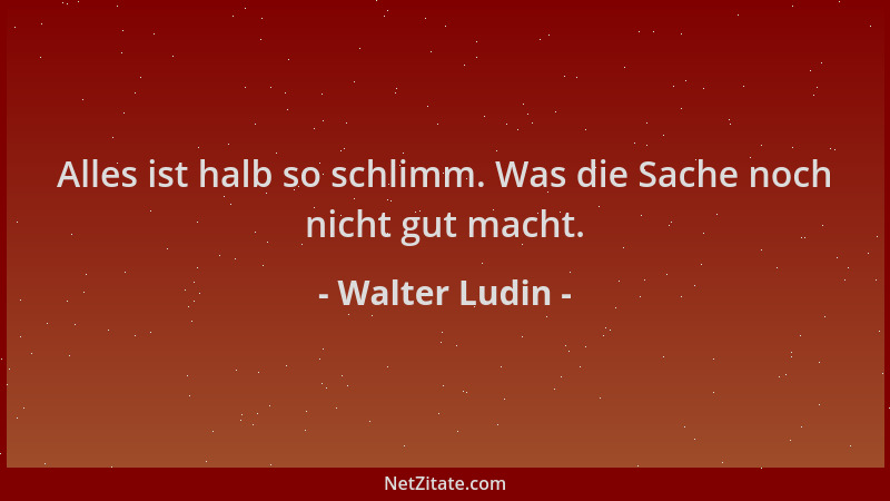 Walter Ludin - Alles ist halb so schlimm. Was die Sache noch nicht gut macht....