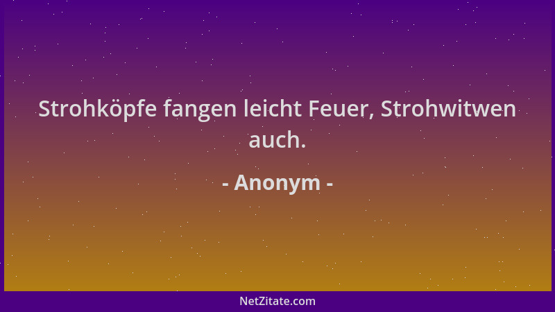 Anonym - Strohköpfe fangen leicht Feuer, Strohwitwen auch....