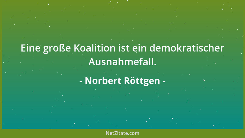 Norbert Röttgen - Eine große Koalition ist ein demokratischer Ausnahmefall....