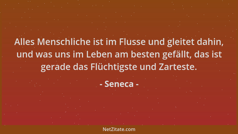 Seneca - Alles Menschliche ist im Flusse und gleitet dahin, und was uns im Leben am besten gefällt, das ist gerade das Flüc...
