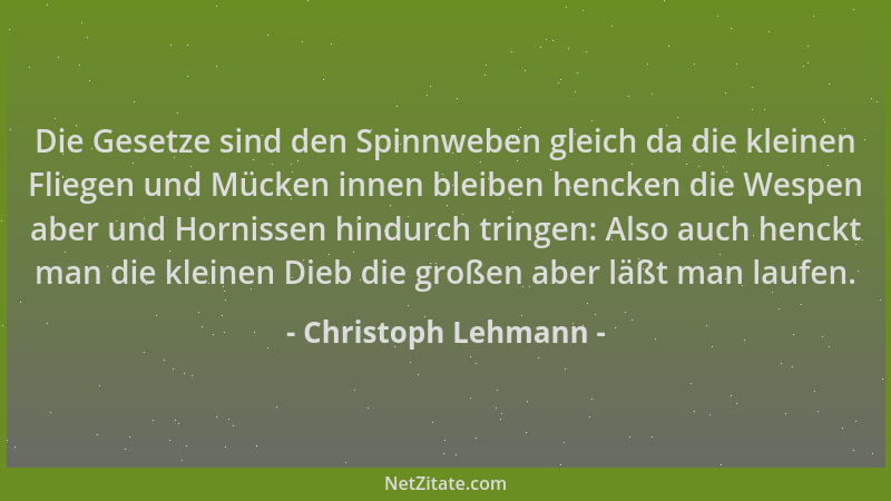 Christoph Lehmann - Die Gesetze sind den Spinnweben gleich da die kleinen Fliegen und Mücken innen bleiben hencken die Wesp...