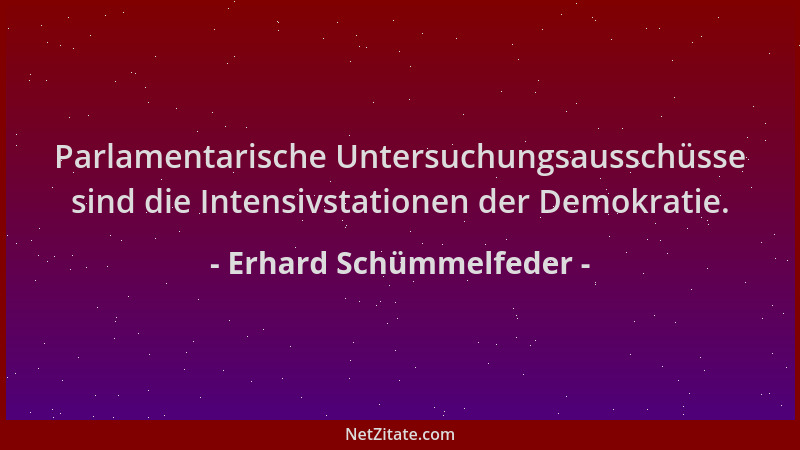 Erhard Schümmelfeder - Parlamentarische Untersuchungsausschüsse sind die Intensivstationen der Demokratie....