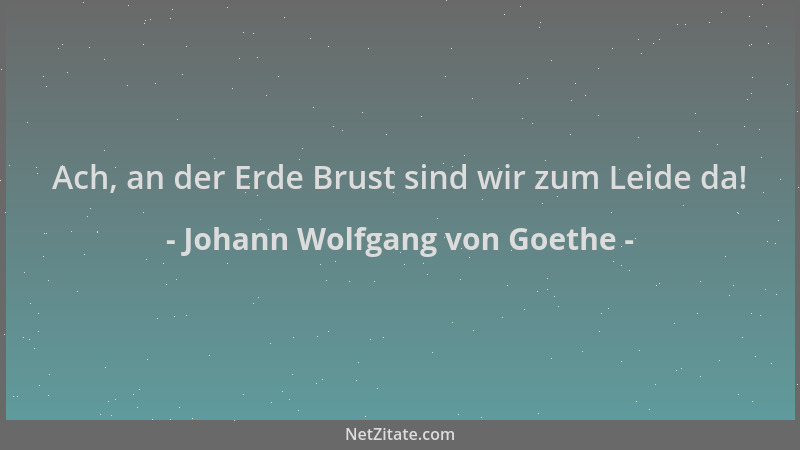 Johann Wolfgang von Goethe - Ach, an der Erde Brust sind wir zum Leide da!...