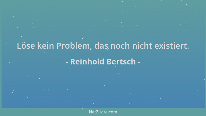 Reinhold Bertsch - Löse kein Problem, das noch nicht existiert....