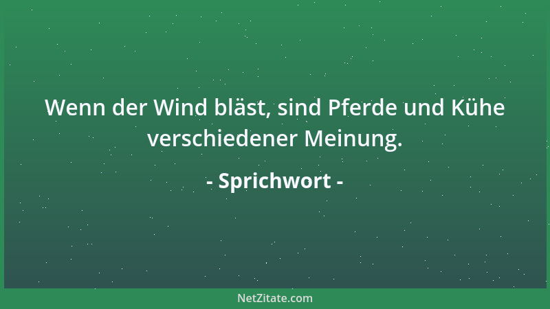 Sprichwort - Wenn der Wind bläst, sind Pferde und Kühe verschiedener Meinung....