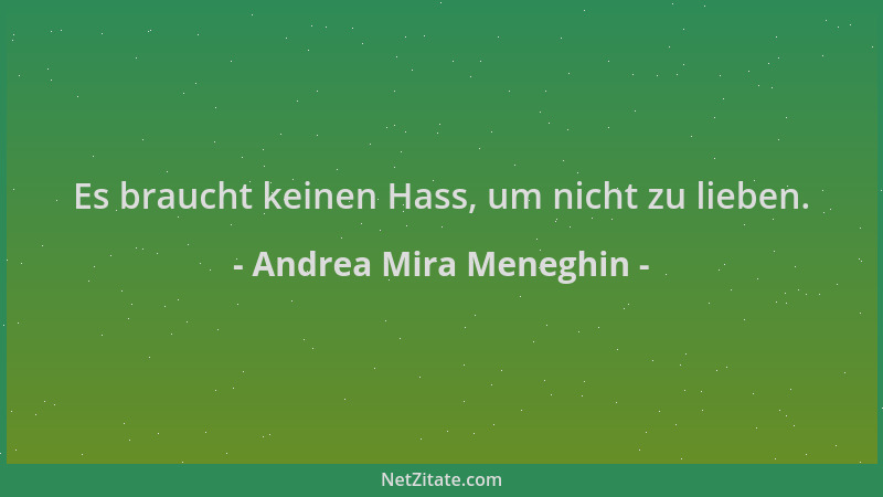 Andrea Mira Meneghin - Es braucht keinen Hass, um nicht zu lieben....