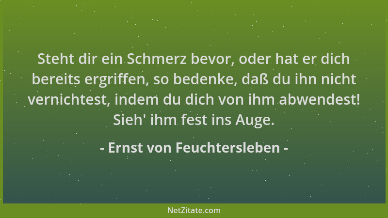 Ernst von Feuchtersleben - Steht dir ein Schmerz bevor, oder hat er dich bereits ergriffen, so bedenke, daß du ihn nicht ve...