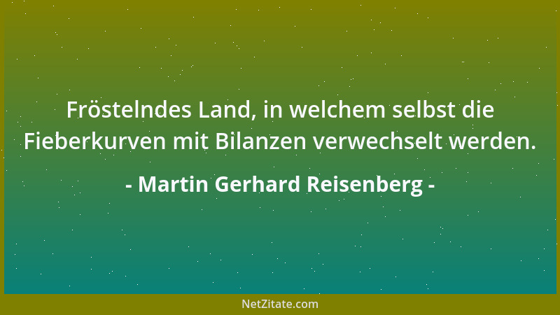Martin Gerhard Reisenberg - Fröstelndes Land, in welchem selbst die Fieberkurven mit Bilanzen verwechselt werden....