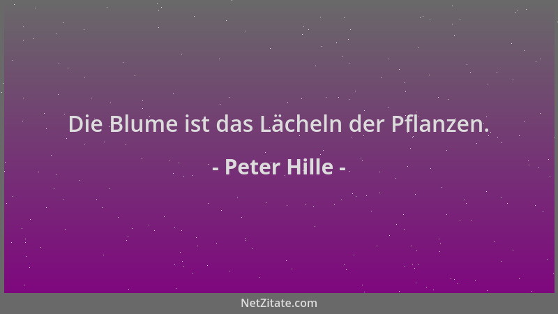 Peter Hille - Die Blume ist das Lächeln der Pflanzen....