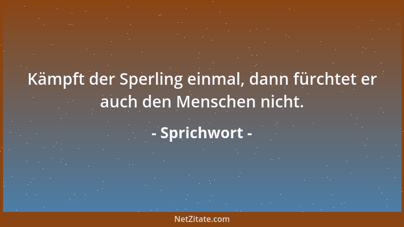 Sprichwort - Kämpft der Sperling einmal, dann fürchtet er auch den Menschen nicht....