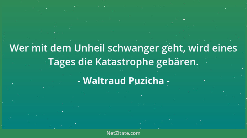 Waltraud Puzicha - Wer mit dem Unheil schwanger geht, wird eines Tages die Katastrophe gebären....