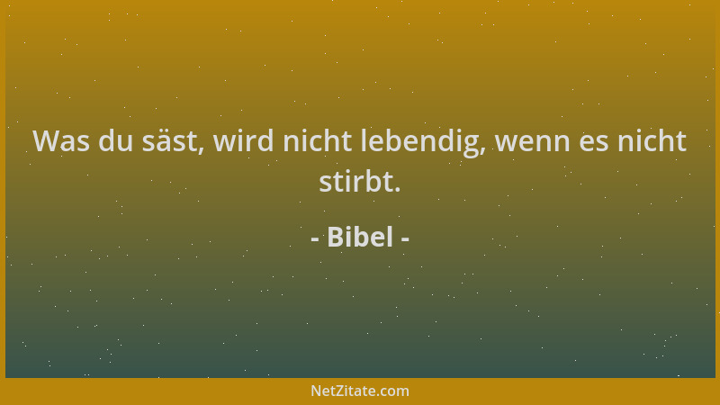 Bibel - Was du säst, wird nicht lebendig, wenn es nicht stirbt....