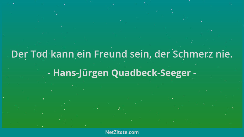 Hans-Jürgen Quadbeck-Seeger - Der Tod kann ein Freund sein, der Schmerz nie....