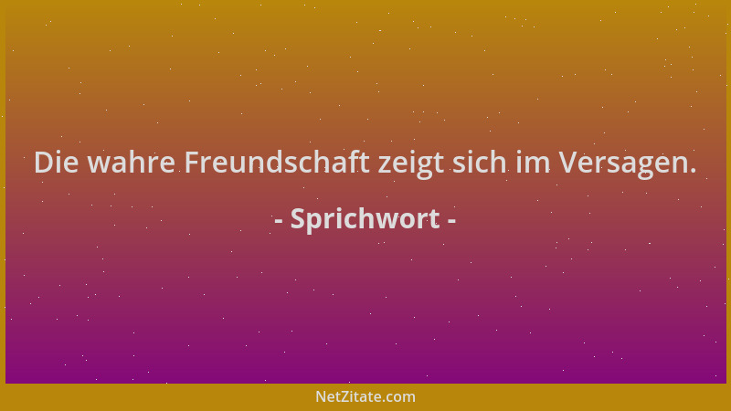 Sprichwort - Die wahre Freundschaft zeigt sich im Versagen....