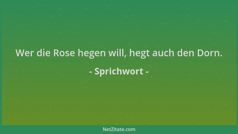 Sprichwort - Wer die Rose hegen will, hegt auch den Dorn....