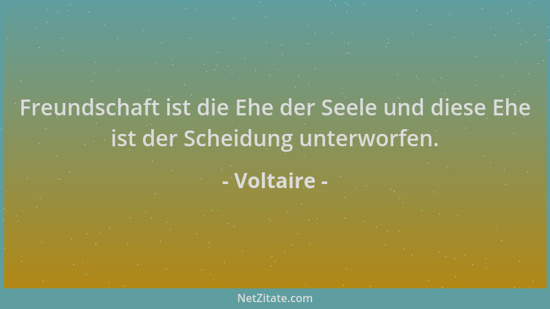 Voltaire - Freundschaft ist die Ehe der Seele und diese Ehe ist der Scheidung unterworfen....