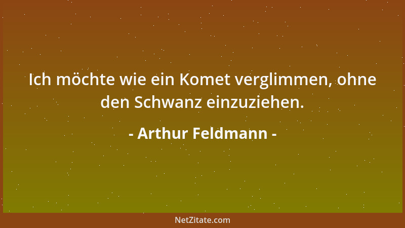 Arthur Feldmann - Ich möchte wie ein Komet verglimmen, ohne den Schwanz einzuziehen....