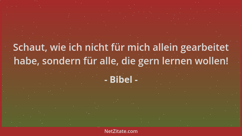 Bibel - Schaut, wie ich nicht für mich allein gearbeitet habe, sondern für alle, die gern lernen wollen!...
