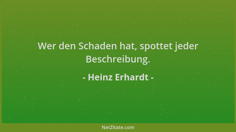 Heinz Erhardt - Wer den Schaden hat, spottet jeder Beschreibung....