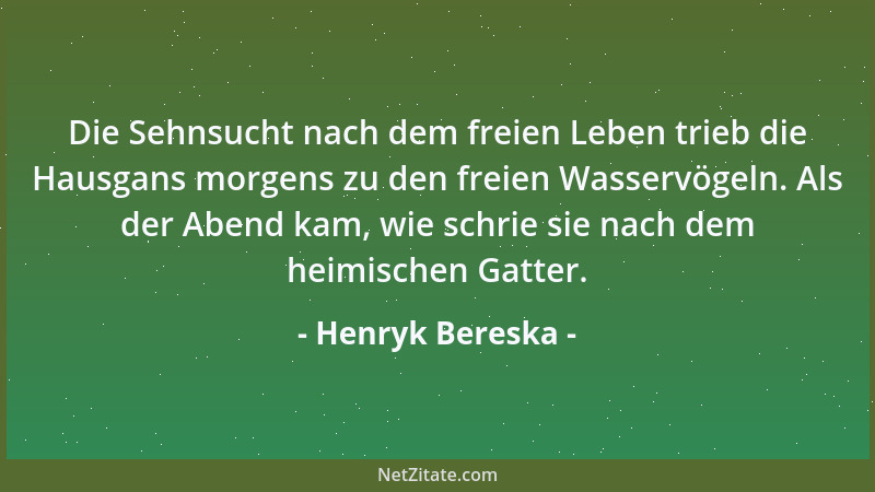 Henryk Bereska - Die Sehnsucht nach dem freien Leben trieb die Hausgans morgens zu den freien Wasservögeln. Als der Abend k...