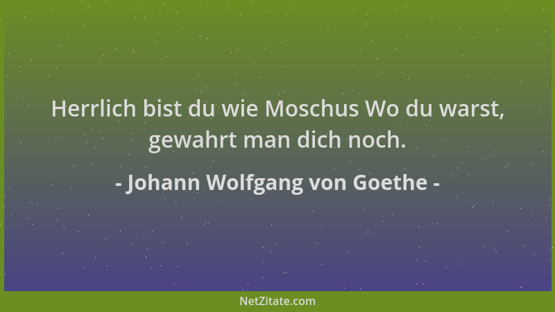 Johann Wolfgang von Goethe - Herrlich bist du wie Moschus Wo du warst, gewahrt man dich noch....