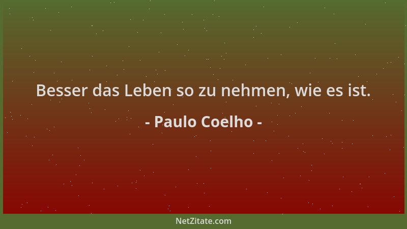 Paulo Coelho - Besser das Leben so zu nehmen, wie es ist....