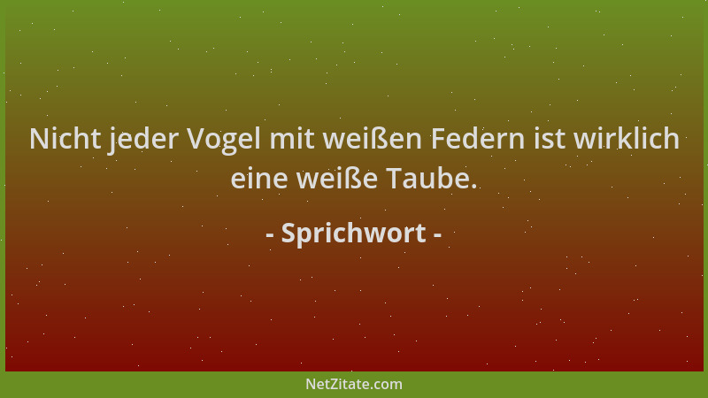 Sprichwort - Nicht jeder Vogel mit weißen Federn ist wirklich eine weiße Taube....