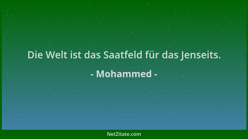 Mohammed - Die Welt ist das Saatfeld für das Jenseits....