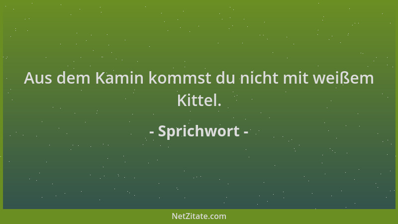 Sprichwort - Aus dem Kamin kommst du nicht mit weißem Kittel....