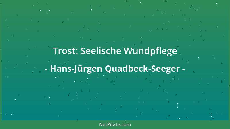 Hans-Jürgen Quadbeck-Seeger - Trost: Seelische Wundpflege...