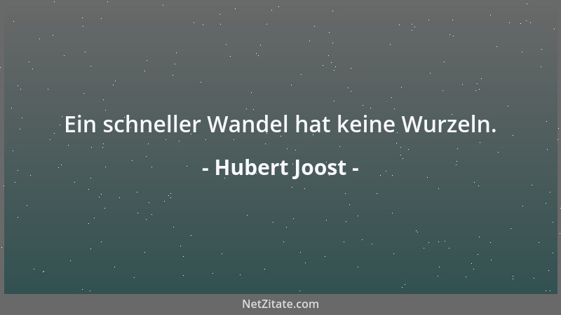 Hubert Joost - Ein schneller Wandel hat keine Wurzeln....