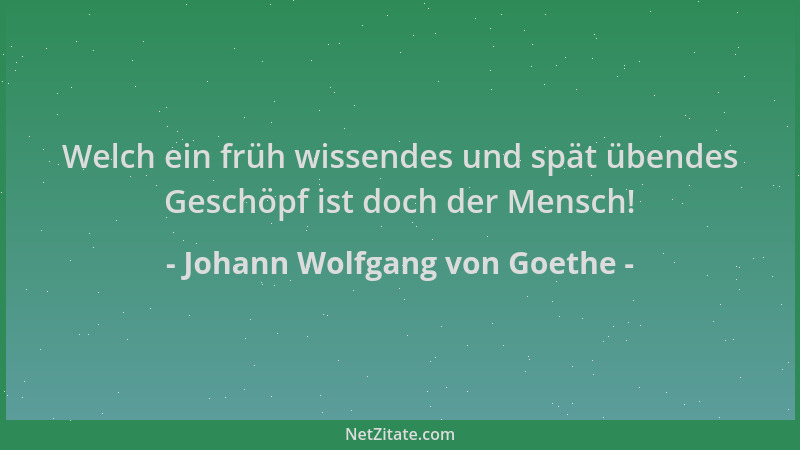 Johann Wolfgang von Goethe - Welch ein früh wissendes und spät übendes Geschöpf ist doch der Mensch!...