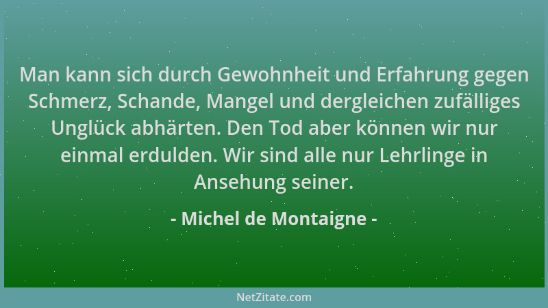 Michel de Montaigne - Man kann sich durch Gewohnheit und Erfahrung gegen Schmerz, Schande, Mangel und dergleichen zufällige...