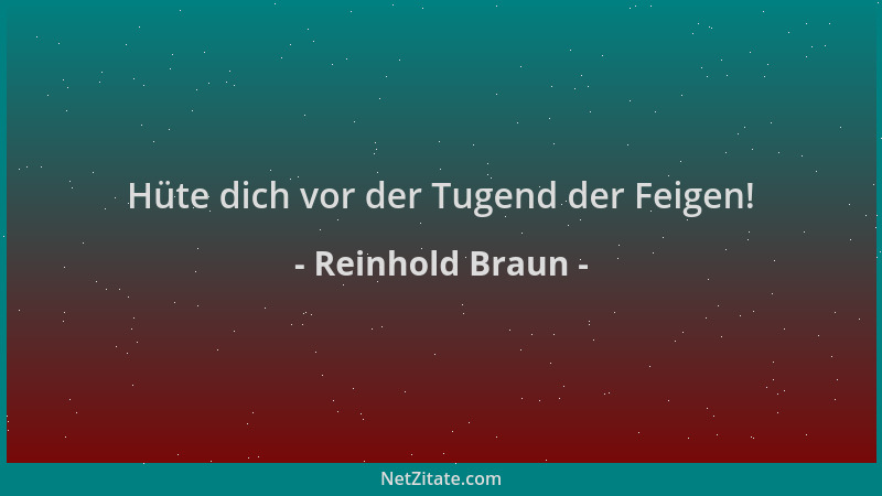 Reinhold Braun - Hüte dich vor der Tugend der Feigen!...