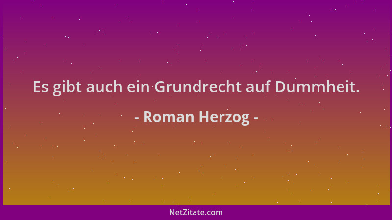 Roman Herzog - Es gibt auch ein Grundrecht auf Dummheit....