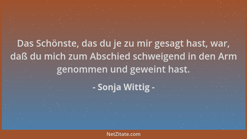Sonja Wittig - Das Schönste, das du je zu mir gesagt hast, war, daß du mich zum Abschied schweigend in den Arm genommen und...