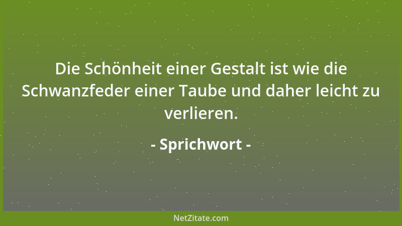 Sprichwort - Die Schönheit einer Gestalt ist wie die Schwanzfeder einer Taube und daher leicht zu verlieren....