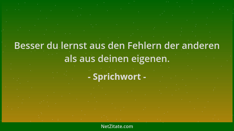 Sprichwort - Besser du lernst aus den Fehlern der anderen als aus deinen eigenen....