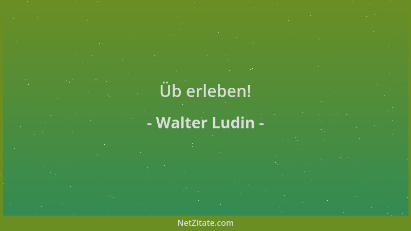 Walter Ludin - Üb erleben!...