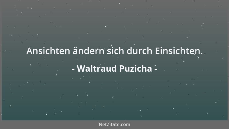 Waltraud Puzicha - Ansichten ändern sich durch Einsichten....
