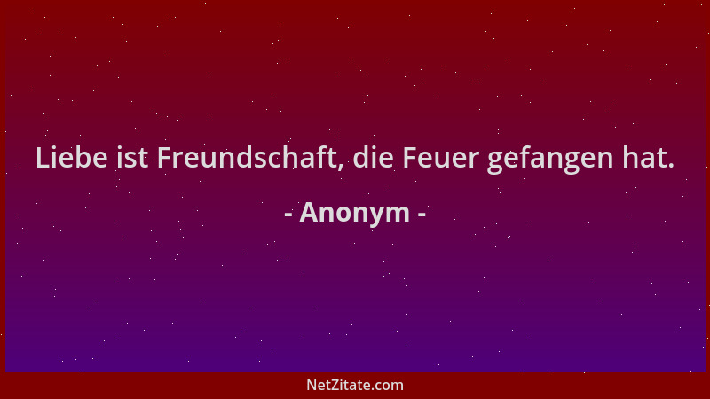 Anonym - Liebe ist Freundschaft, die Feuer gefangen hat....