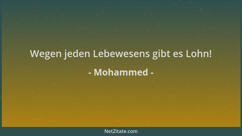 Mohammed - Wegen jeden Lebewesens gibt es Lohn!...