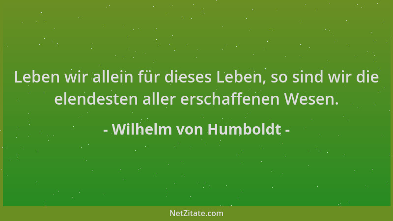 Wilhelm von Humboldt - Leben wir allein für dieses Leben, so sind wir die elendesten aller erschaffenen Wesen....