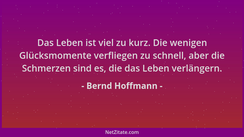 Bernd Hoffmann - Das Leben ist viel zu kurz. Die wenigen Glücksmomente verfliegen zu schnell, aber die Schmerzen sind es, d...