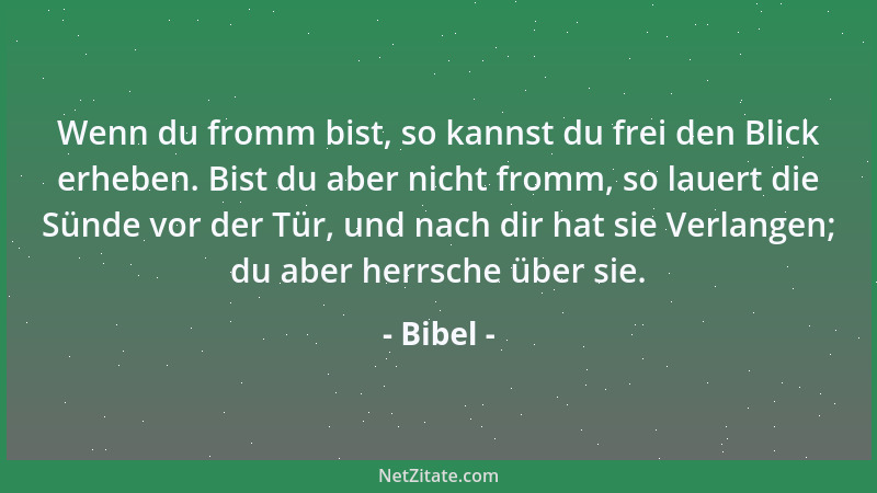 Bibel - Damals gingen viele, die Recht und Gerechtigkeit suchten, in die Wüste hinunter, um dort zu leben....