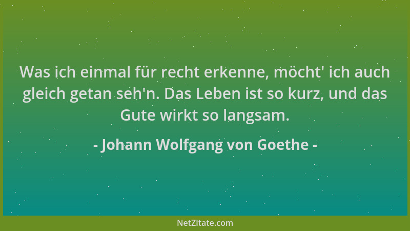 Johann Wolfgang von Goethe - Was ich einmal für recht erkenne, möcht ' ich auch gleich getan seh 'n. Das Leben ist so kurz, u...