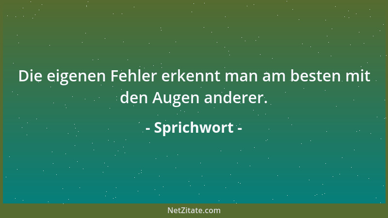 Sprichwort - Die eigenen Fehler erkennt man am besten mit den Augen anderer....