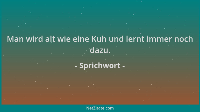 Sprichwort - Man wird alt wie eine Kuh und lernt immer noch dazu....